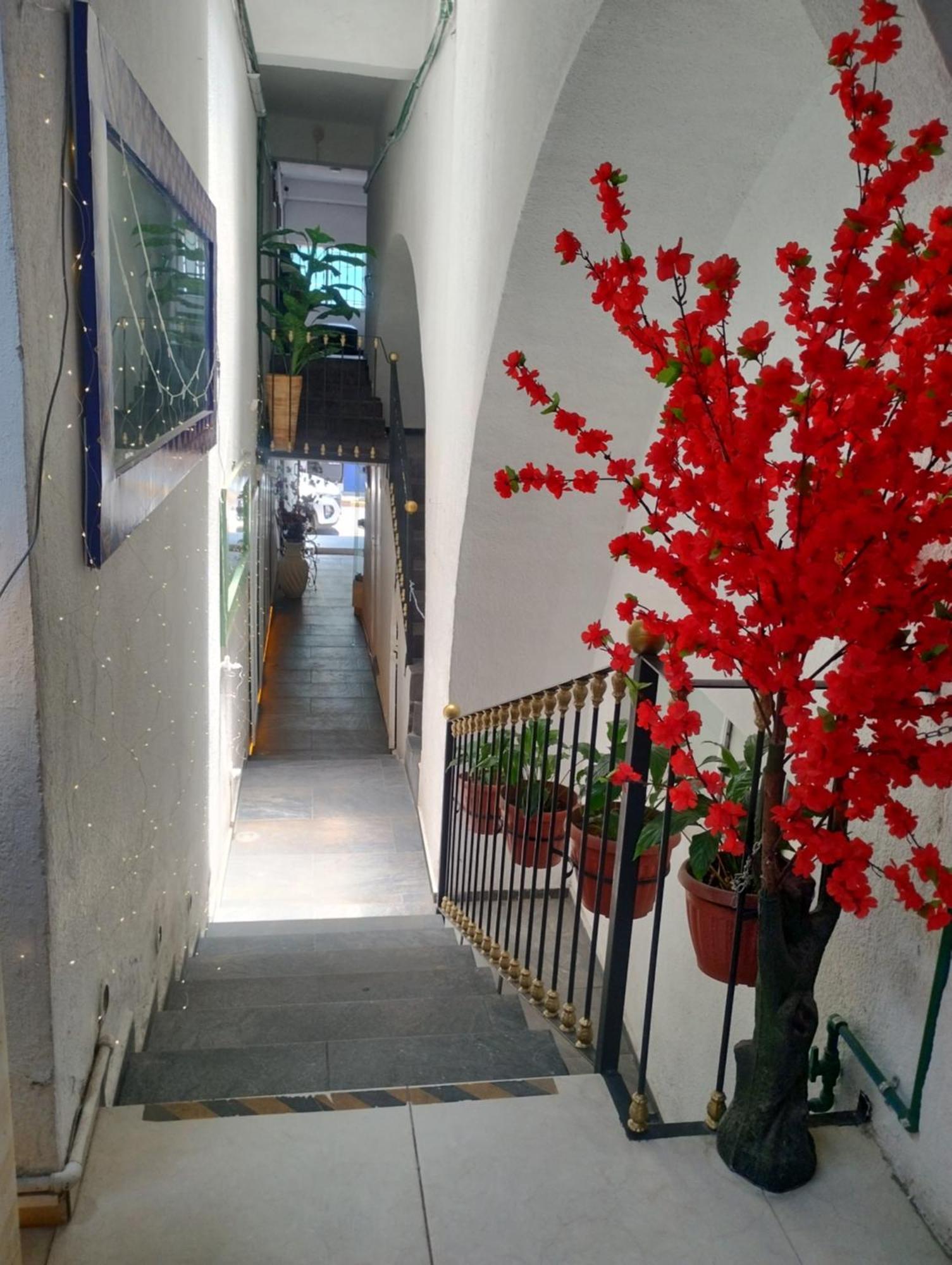 Hotel Tao Atlixco Dış mekan fotoğraf